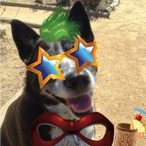 Meet your Posher, Pamela